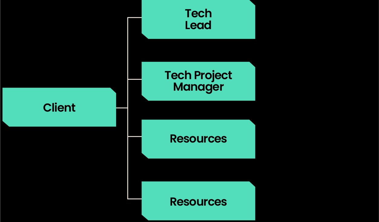 team-structure-dedicated-agile-teams-3