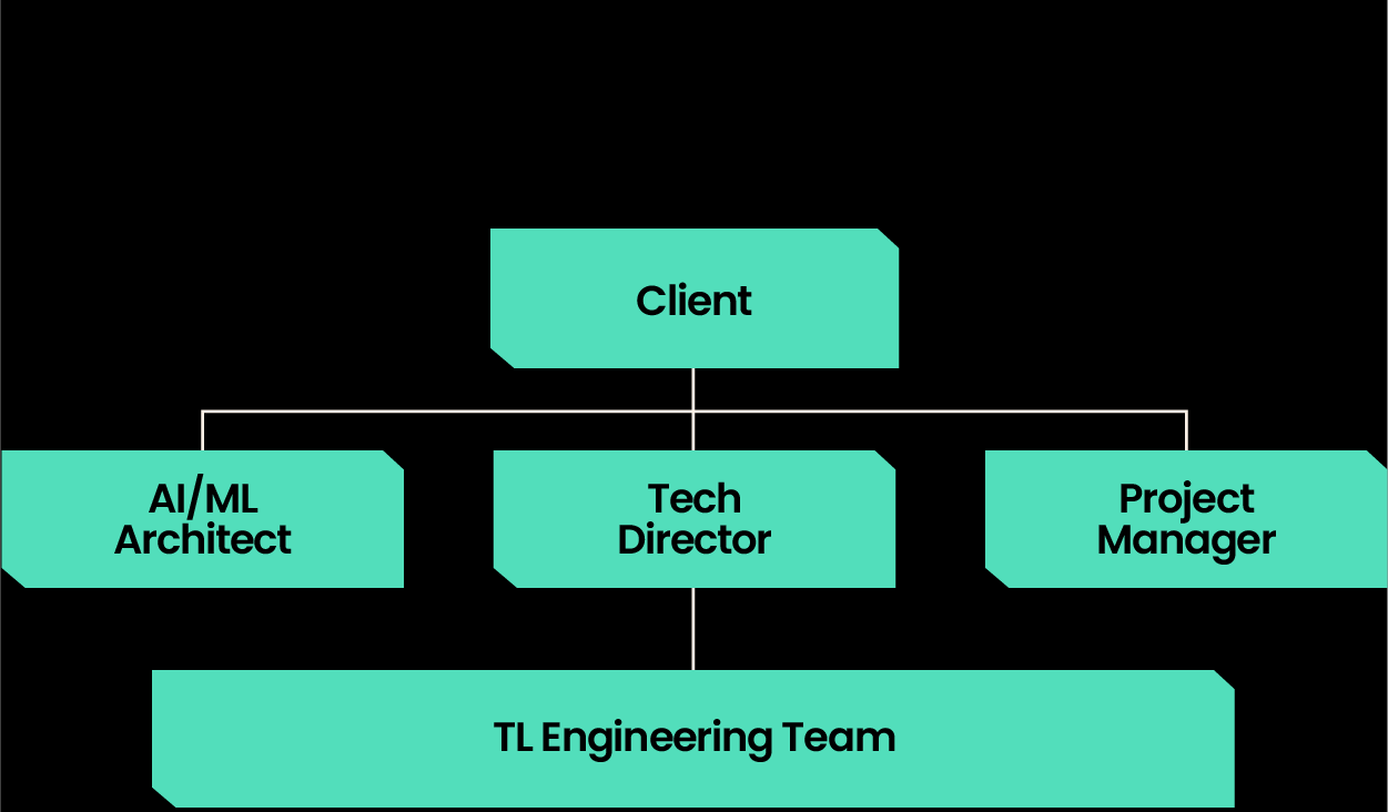 truelogic-team-structures-consulting-ai